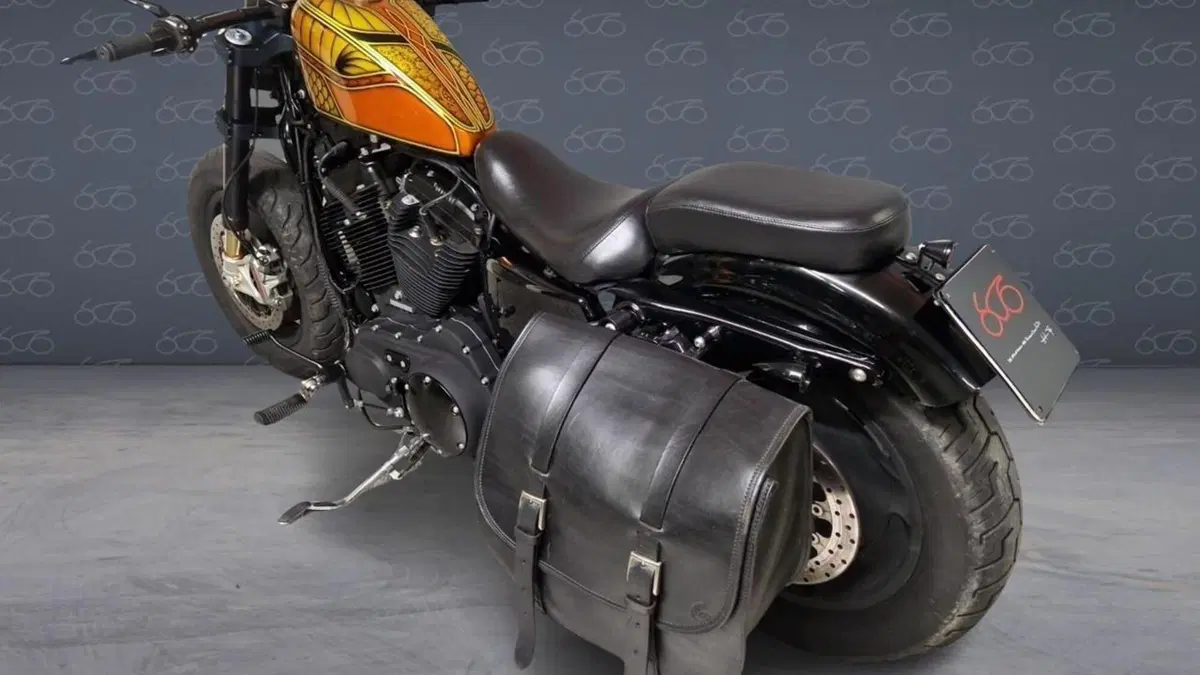 Harley-Davidson 1200 Forty-Eight (2010 - 15)  (2)
