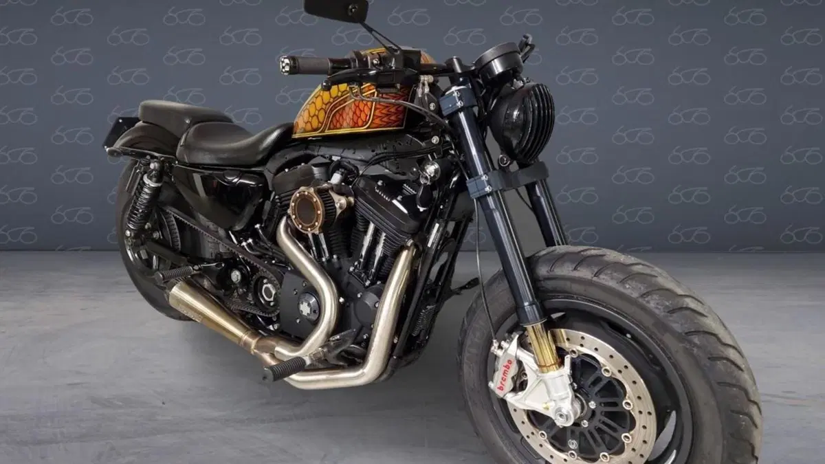 Harley-Davidson 1200 Forty-Eight (2010 - 15)  (4)