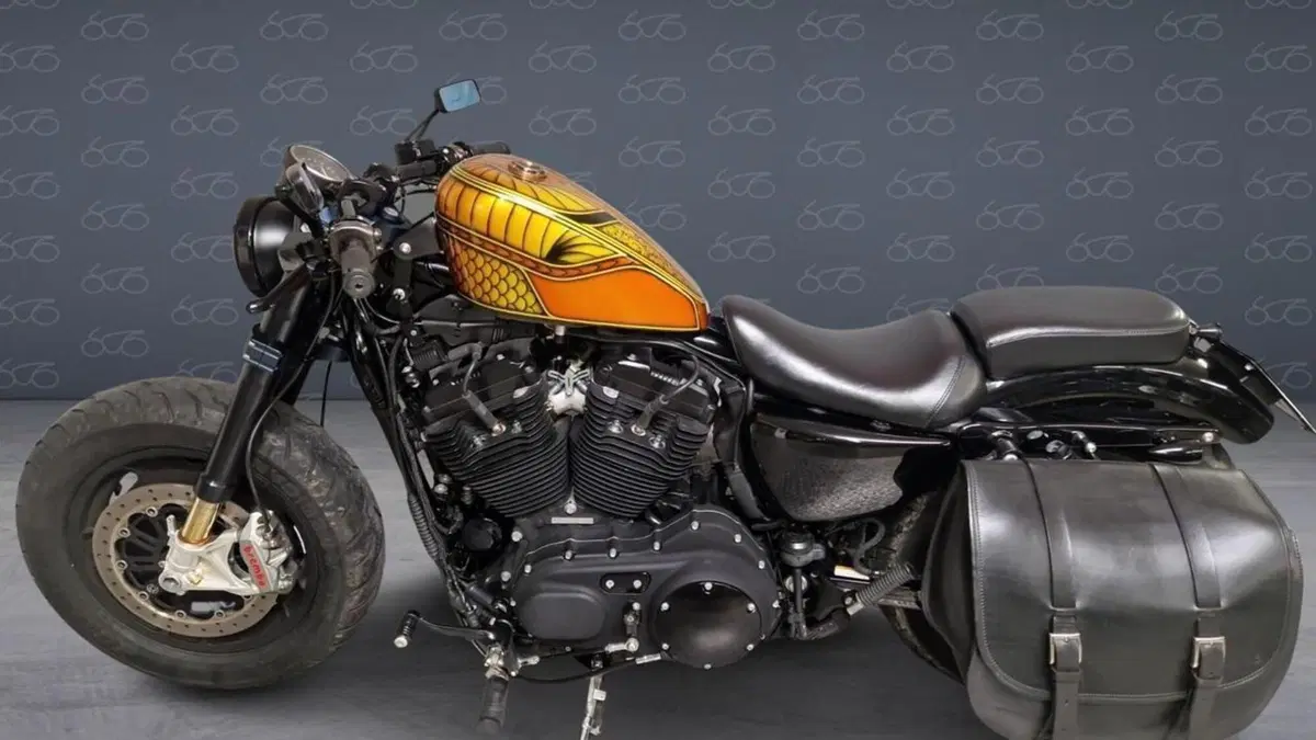Harley-Davidson 1200 Forty-Eight (2010 - 15)  (7)