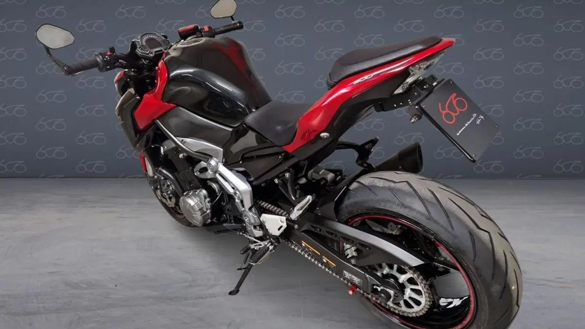 Kawasaki Z 900 A2 (2019)  (3)