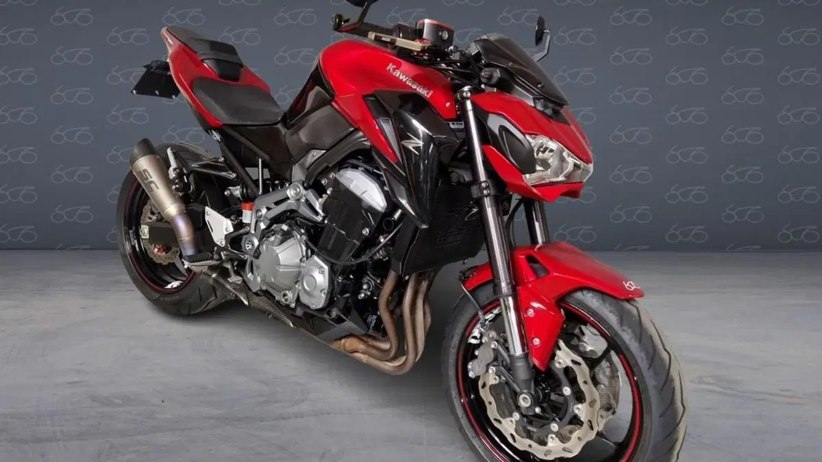 Kawasaki Z 900 A2 (2019)  (4)