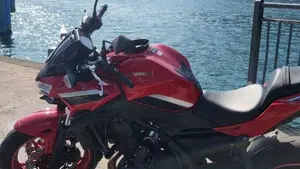 Kawasaki Z 650 50th Anniversary (2022 - 23)  (4)