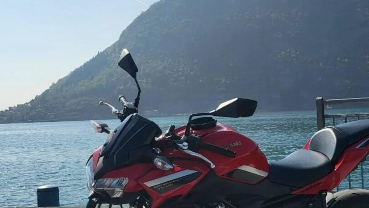 Kawasaki Z 650 50th Anniversary (2022 - 23)  (5)
