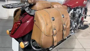 Indian Scout 1133 (2015 - 16)  (3)