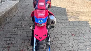 Honda CRF 250RX Enduro Special (2024)  (8)