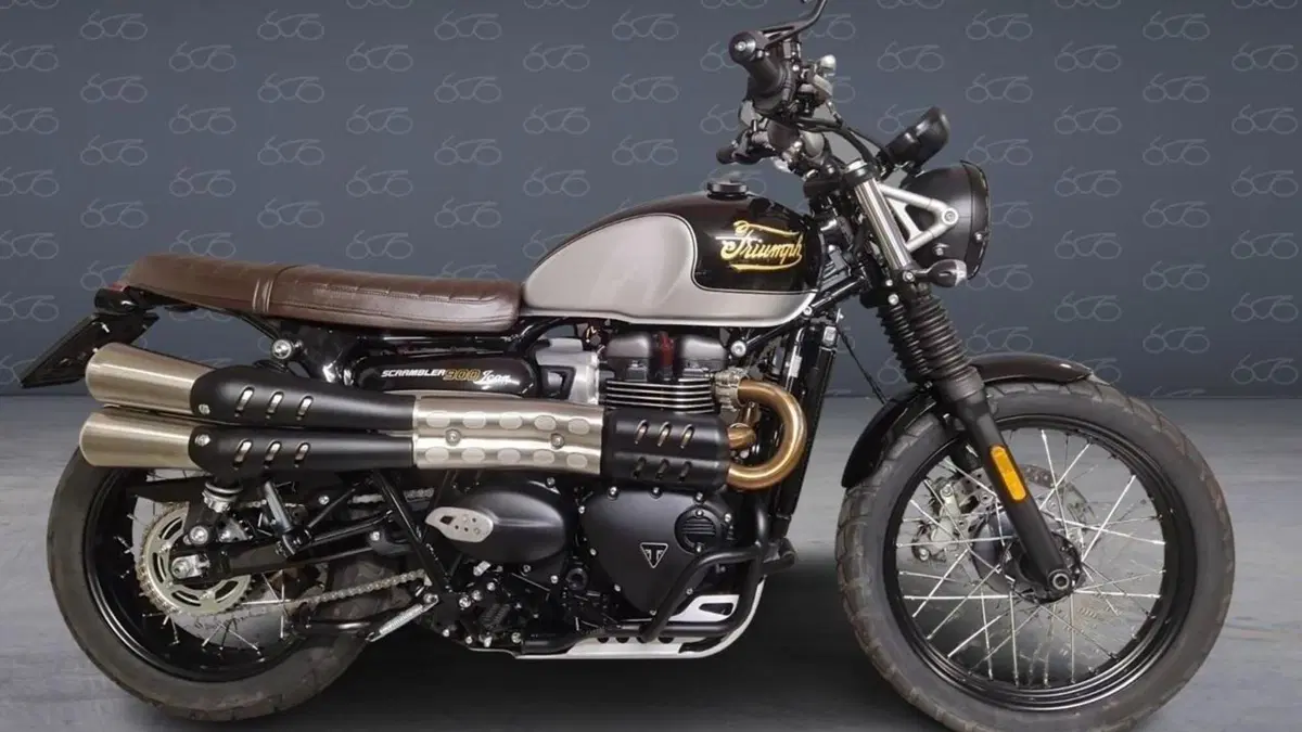 Triumph Scrambler 900 Icon Edition (2025 - 26) 