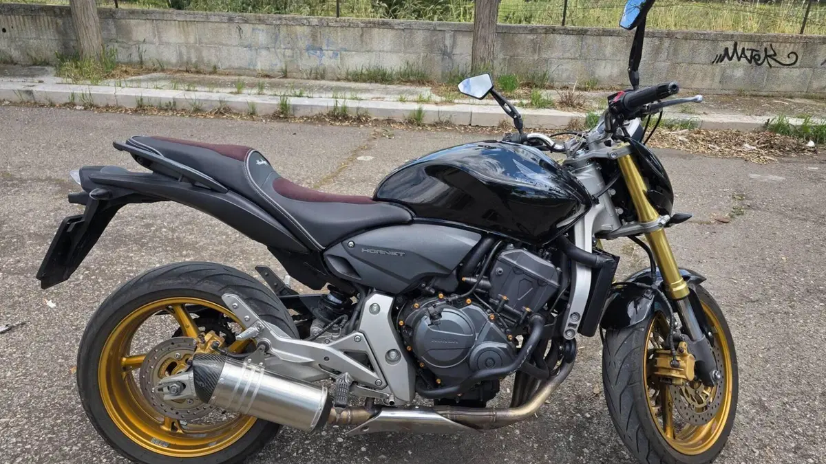 Honda Hornet 600 (2007 - 10)  (2)
