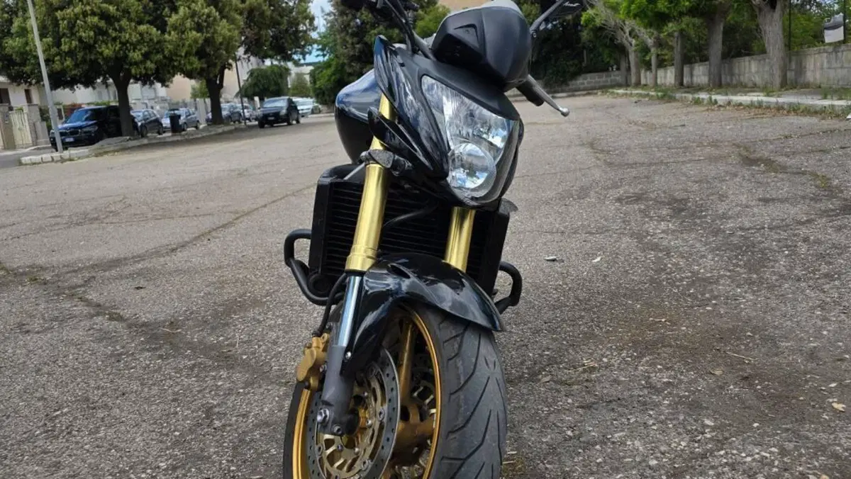 Honda Hornet 600 (2007 - 10)  (3)