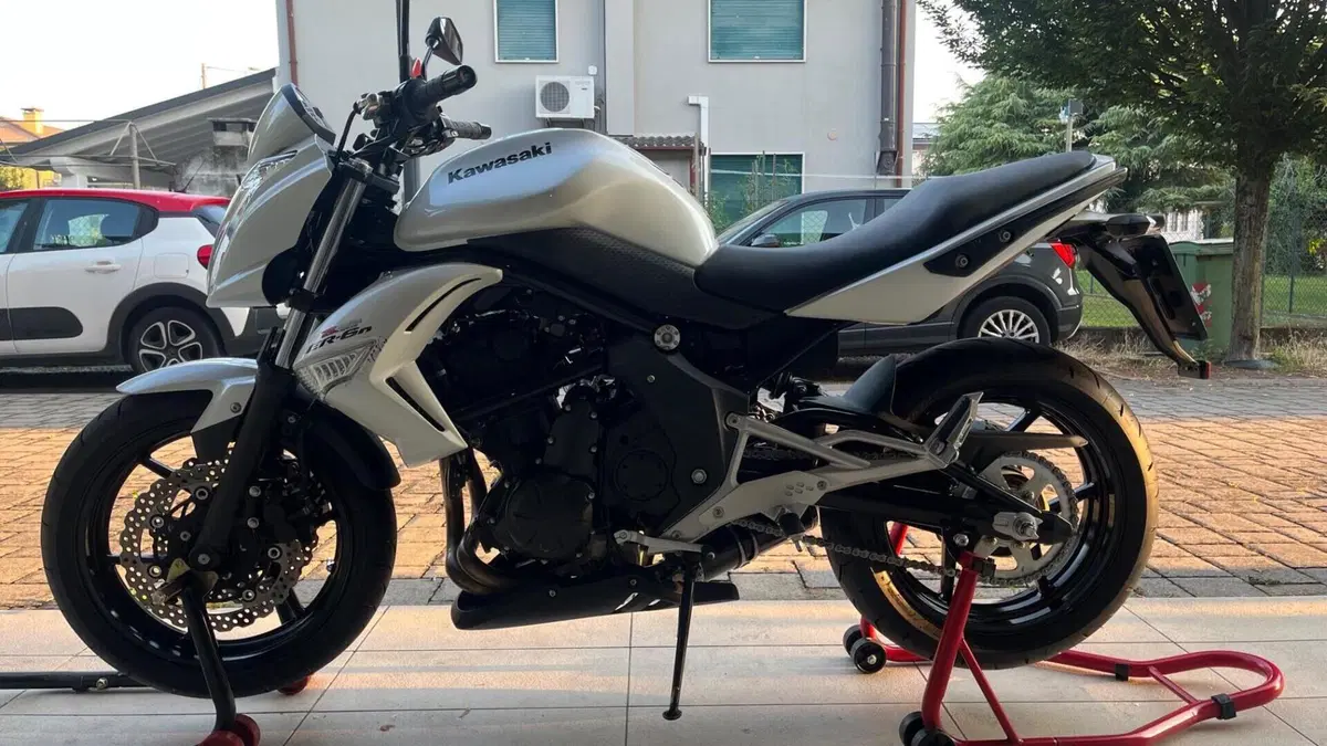 Kawasaki ER-6N (2009 - 11)  (2)