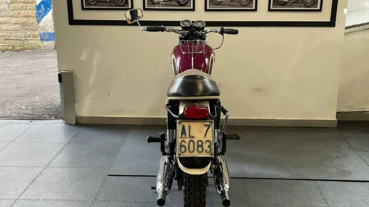 Triumph   (10)