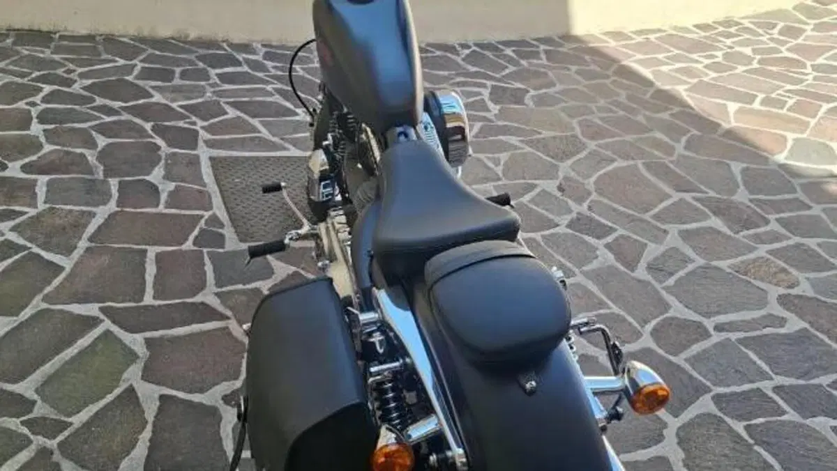 Harley-Davidson 1200 Seventy-Two (2011 - 16)  (2)