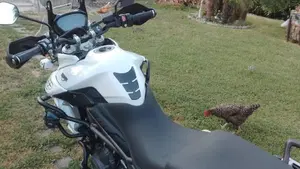 Triumph Tiger 800 XRt (2018 - 20)  (4)