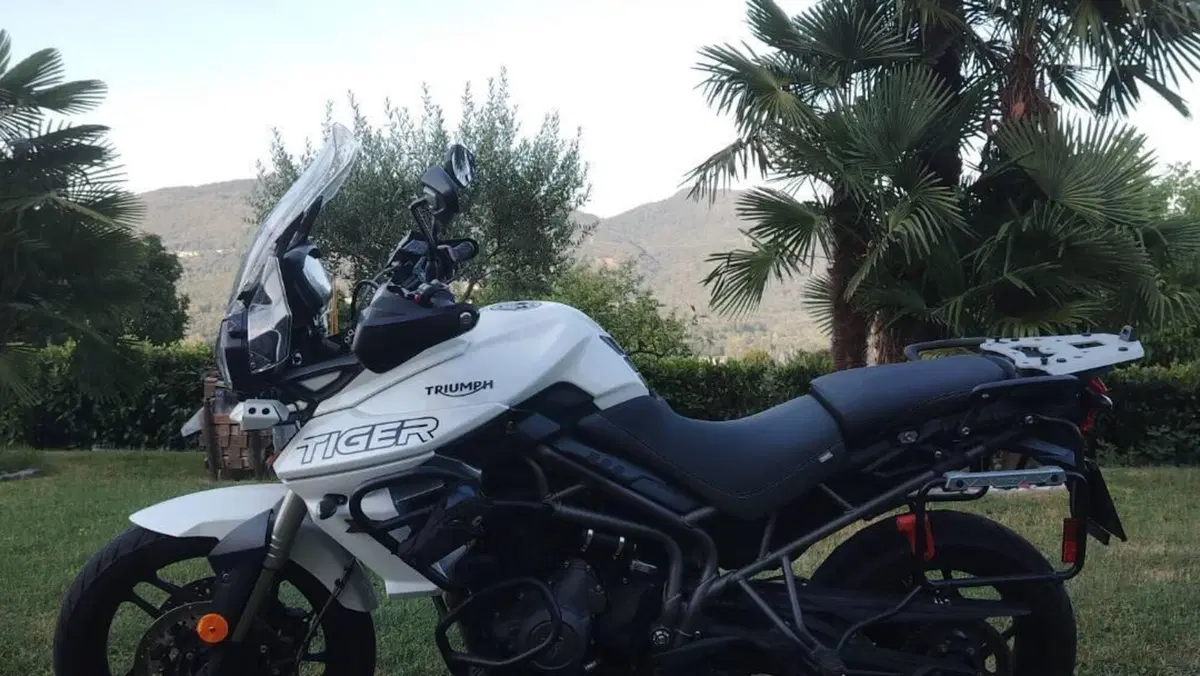 Triumph Tiger 800 XRt (2018 - 20)  (5)
