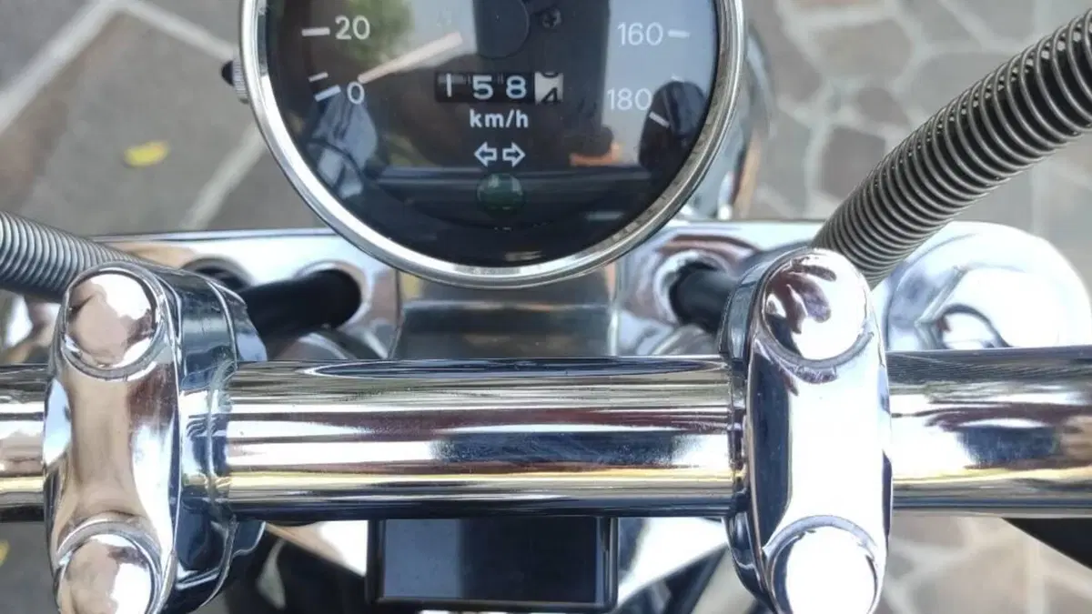 Suzuki   (2)