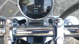 Suzuki   (2)