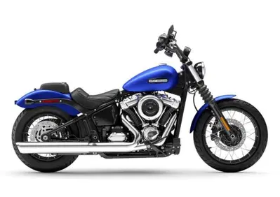Harley-Davidson Street Bob 117 (2025 - 26) - Annuncio 10061866