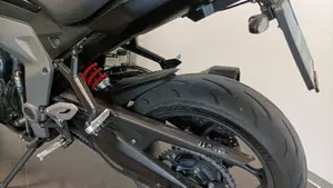 Triumph Daytona 660 (2024 - 26)  (15)