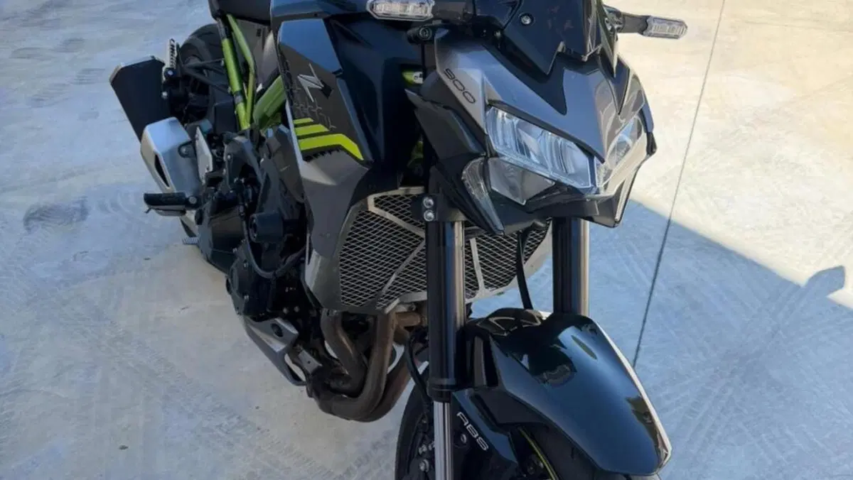 Kawasaki Z 900 (2020)  (2)
