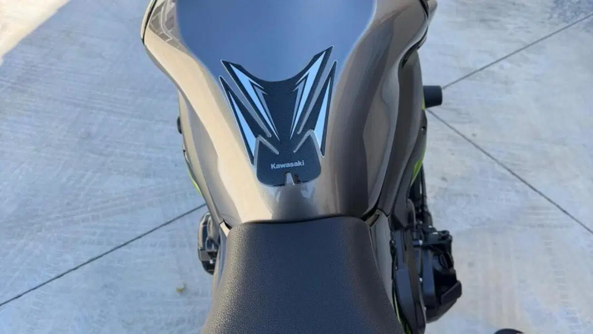 Kawasaki Z 900 (2020)  (4)