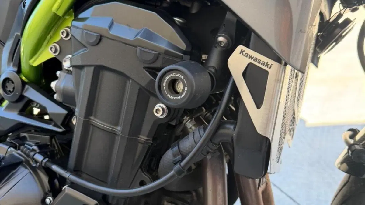 Kawasaki Z 900 (2020)  (5)