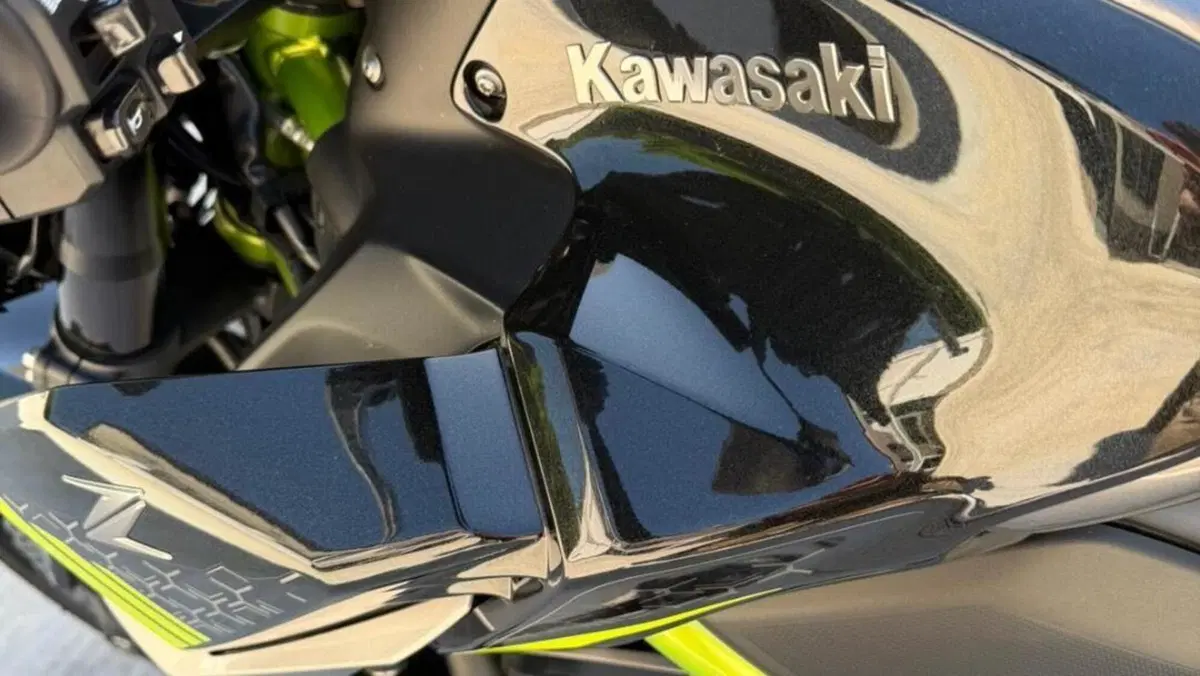 Kawasaki Z 900 (2020)  (11)