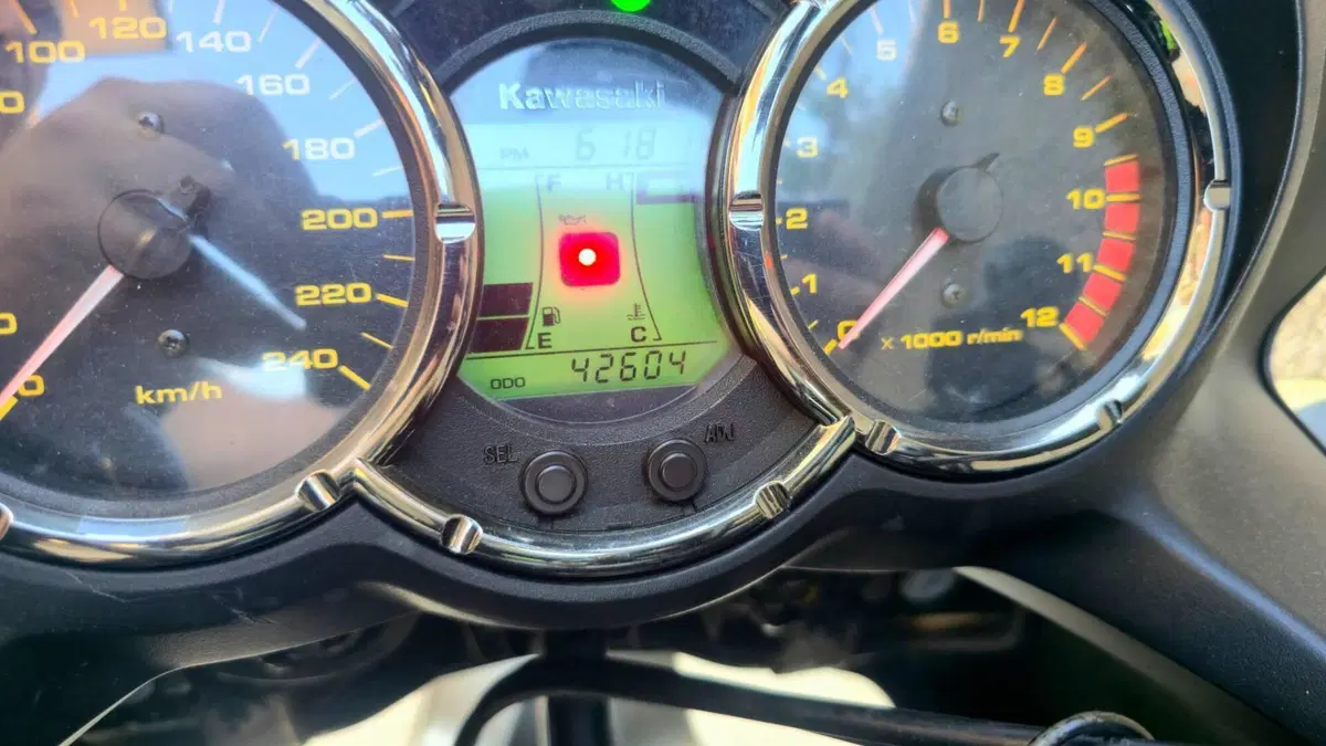 Kawasaki KLV 1000  (7)