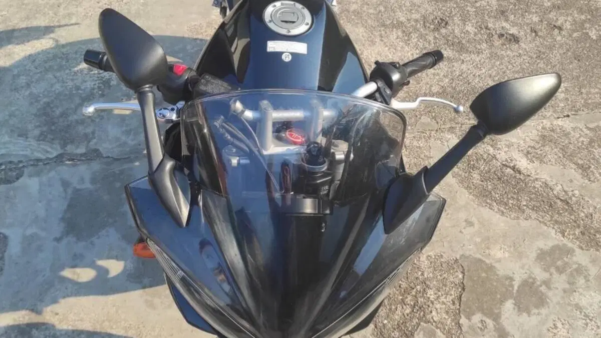 Yamaha FZ6 Fazer (2004 - 07)  (3)
