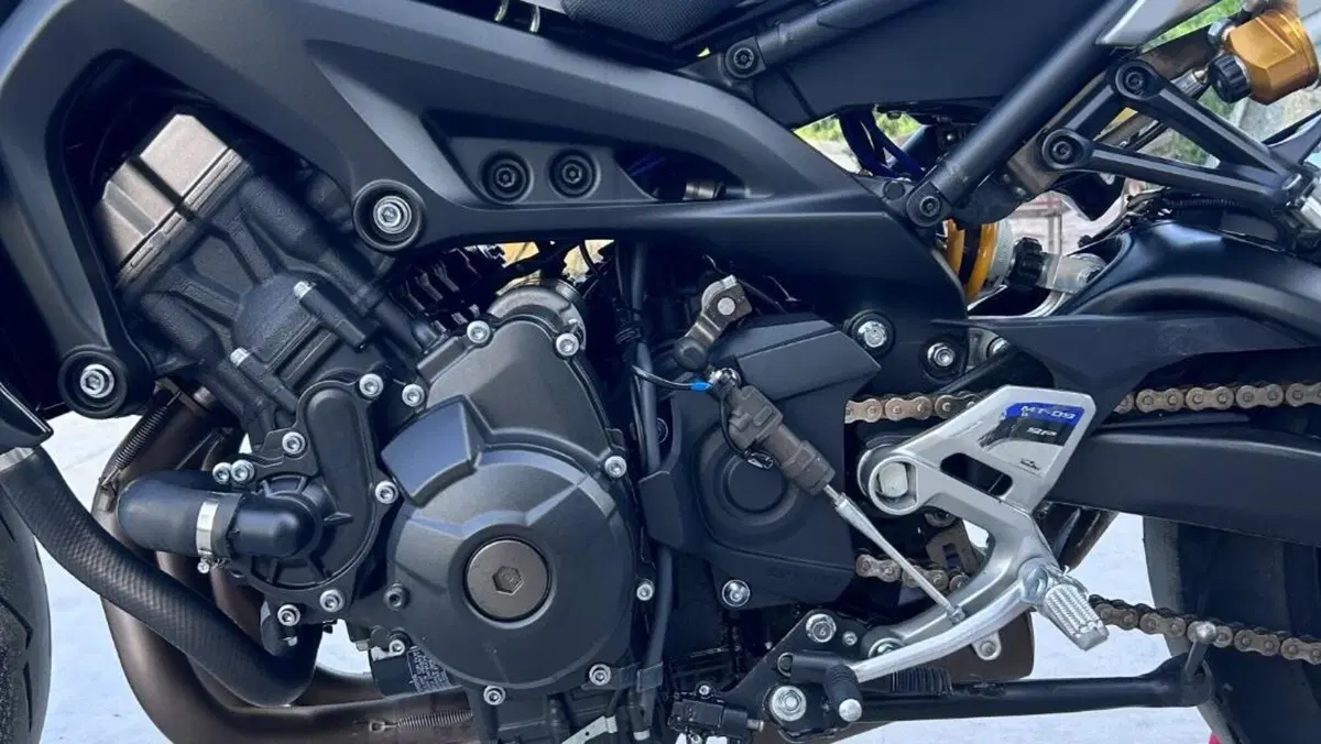 Yamaha MT-09 SP (2018 - 20)  (5)