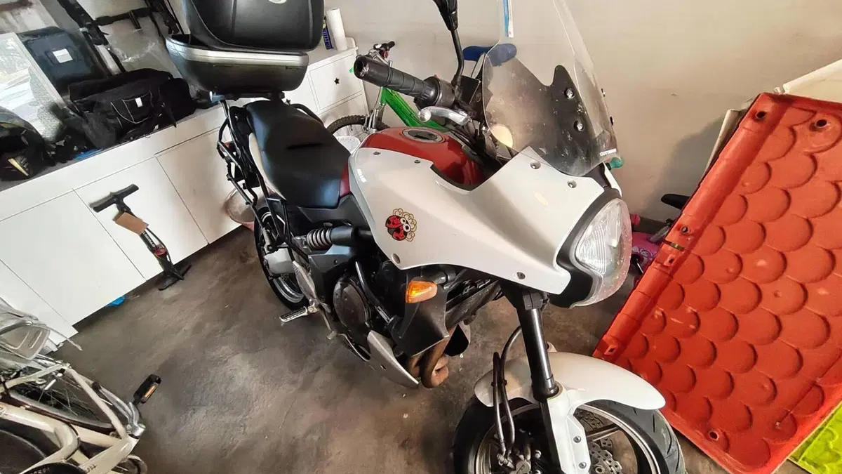 Kawasaki Versys 650 (2006 - 09)  (4)