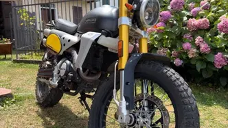 Fantic Motor Caballero 125 Scrambler (2024) usata