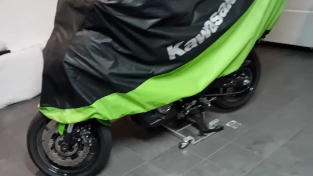 Kawasaki Versys 1000 (2017 - 18)  (2)