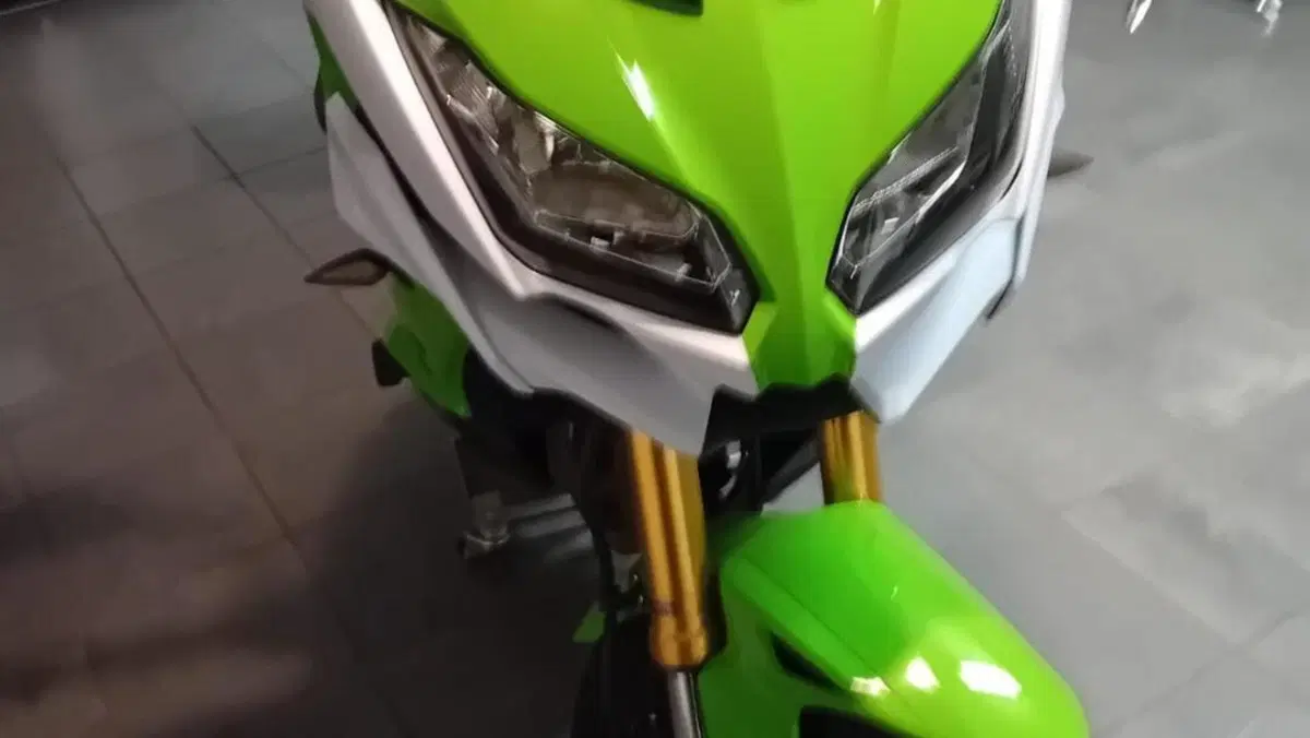 Kawasaki Versys 1000 (2017 - 18)  (4)