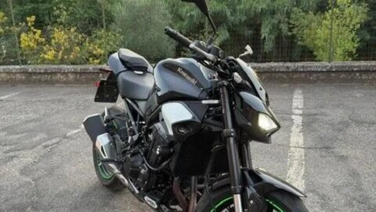 Kawasaki Z 900 (2025 - 26) 