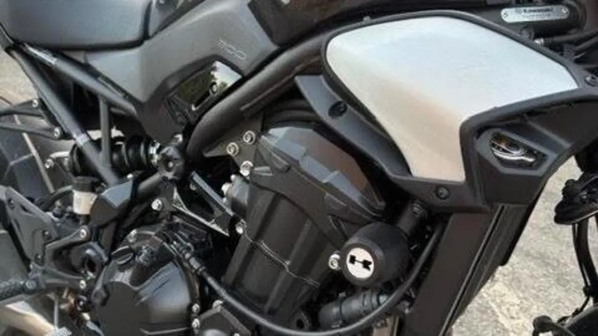 Kawasaki Z 900 (2025 - 26)  (2)