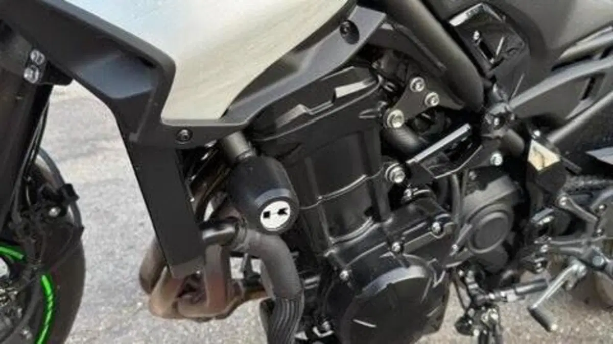 Kawasaki Z 900 (2025 - 26)  (6)