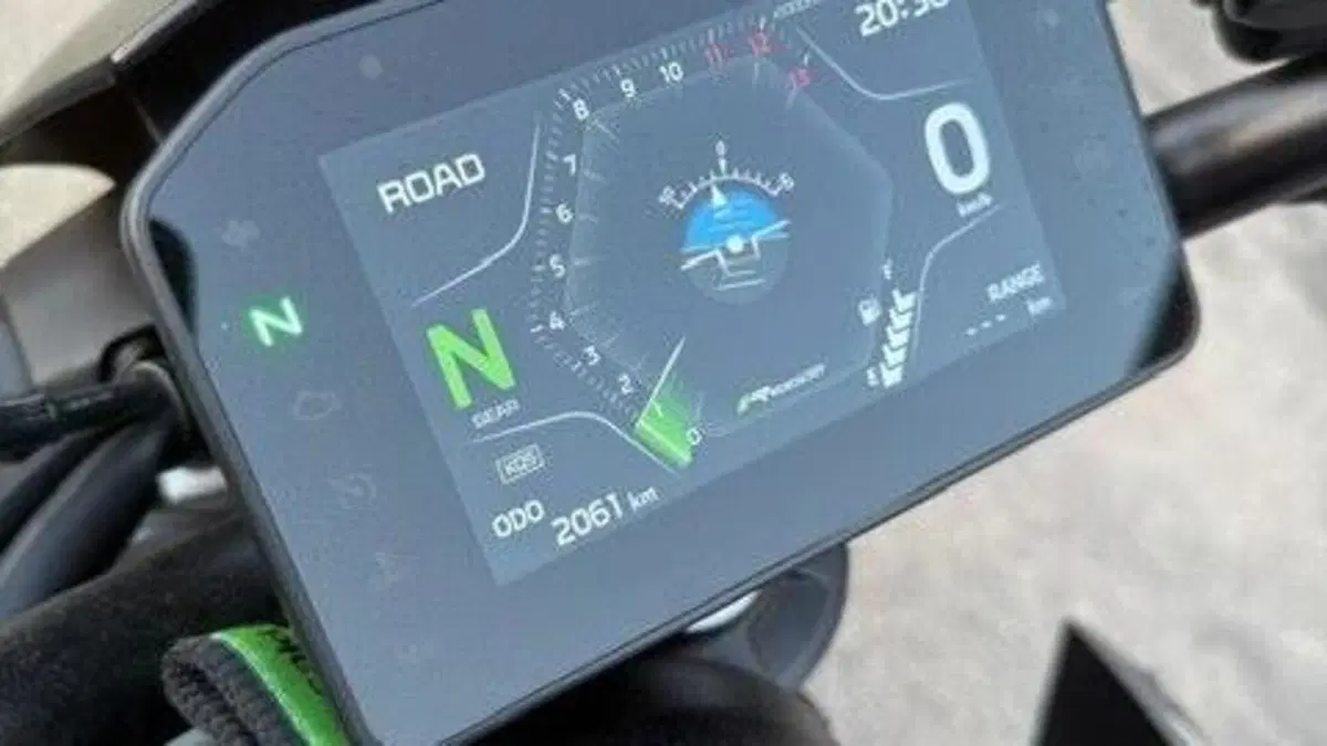 Kawasaki Z 900 (2025 - 26)  (8)