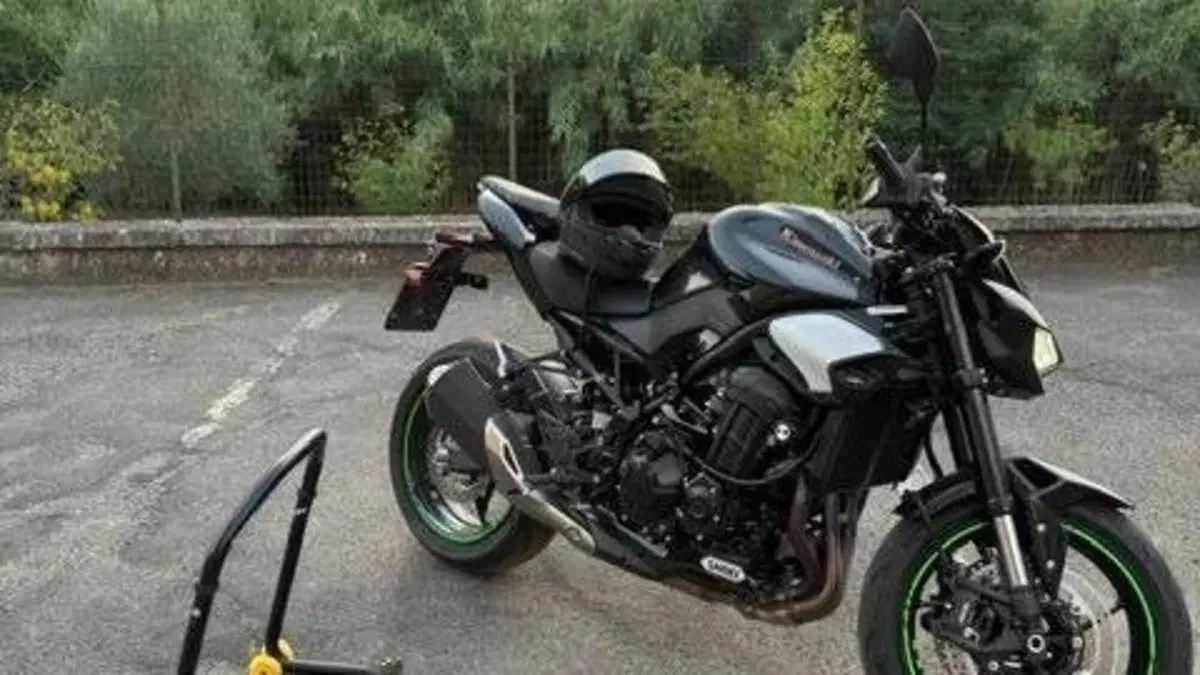 Kawasaki Z 900 (2025 - 26)  (10)