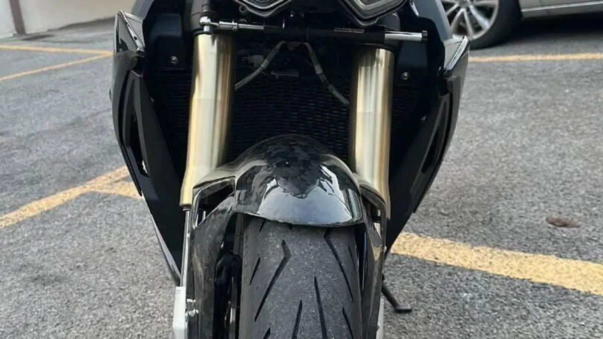Bmw S 1000 R (2025 - 27)  (2)