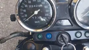 Kawasaki ER-5 500 (2001 - 06)  (4)