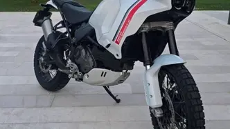 Ducati DesertX (2022 - 25) usata