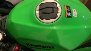 Kawasaki Ninja 500 SE (2024 - 26)  (4)