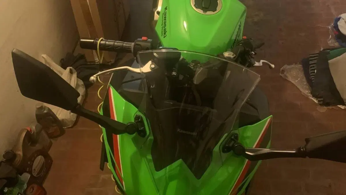 Kawasaki Ninja 500 SE (2024 - 26)  (5)