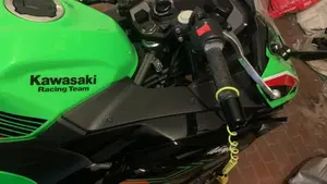 Kawasaki Ninja 500 SE (2024 - 26)  (7)