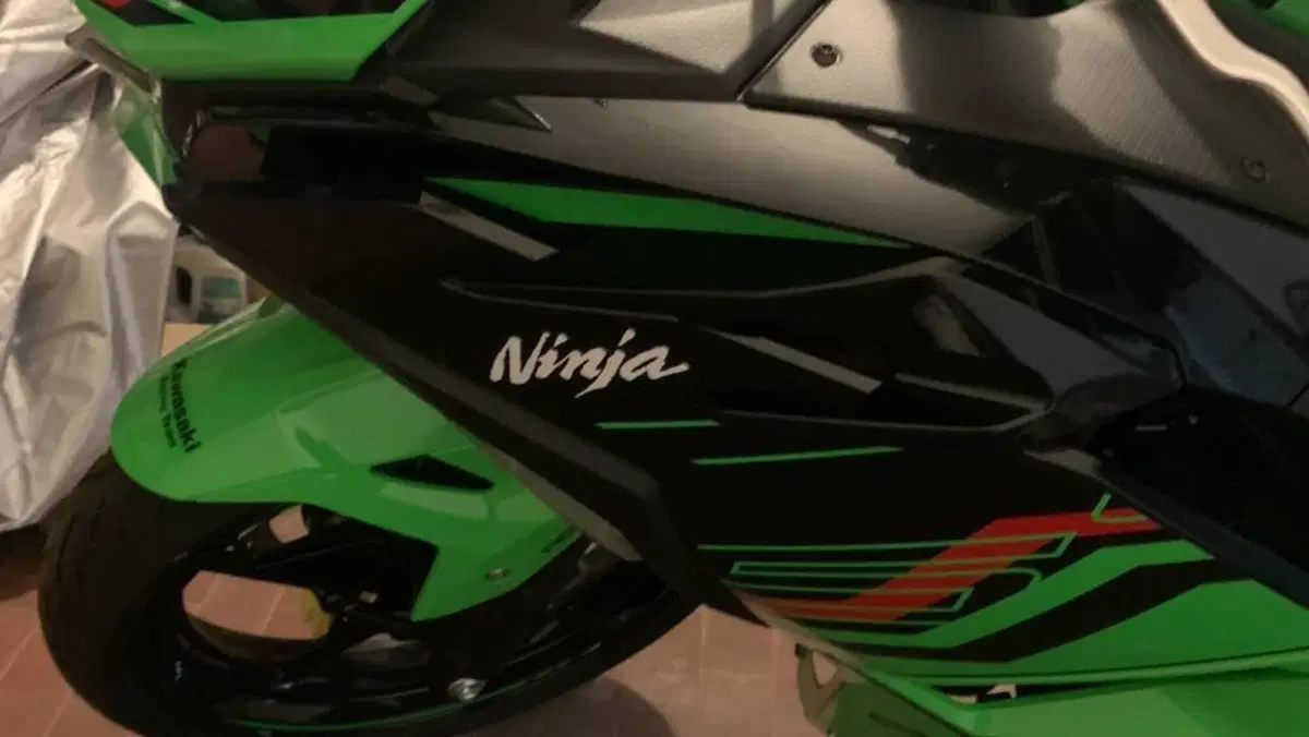 Kawasaki Ninja 500 SE (2024 - 26)  (9)