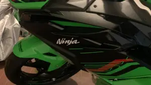 Kawasaki Ninja 500 SE (2024 - 26)  (9)