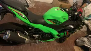 Kawasaki Ninja 500 SE (2024 - 26)  (11)