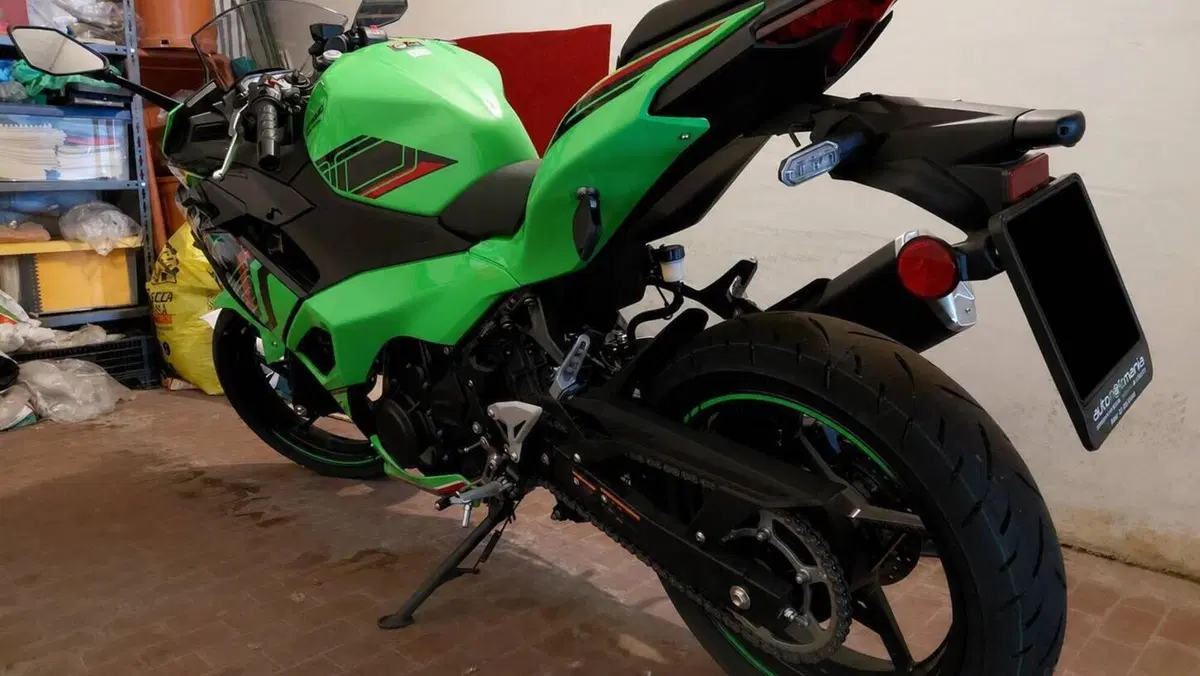 Kawasaki Ninja 500 SE (2024 - 26)  (3)