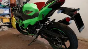Kawasaki Ninja 500 SE (2024 - 26)  (3)