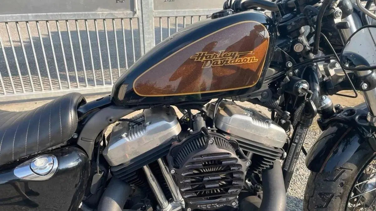 Harley-Davidson 1200 Forty-Eight (2010 - 15)  (3)