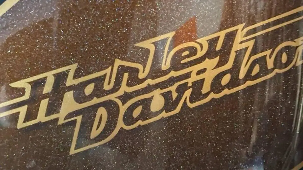 Harley-Davidson 1200 Forty-Eight (2010 - 15)  (4)